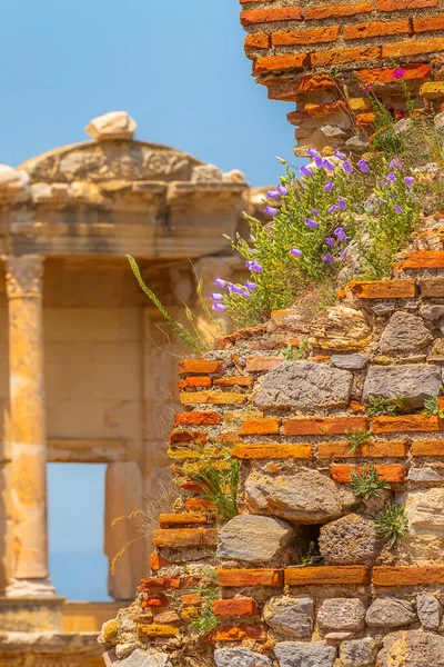 Biblioteca Celsus en Efeso, Turquía —  Fotos de Stock