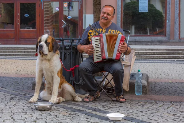 Wroclaw, Polonia, Músico con perro —  Fotos de Stock