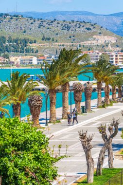 Yunanistan 'ın Nafplio kentinde palmiye ağaçları ile gezinti