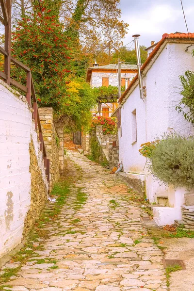 Straßenansicht im Dorf Makrinitsa, Pilion, Griechenland — Stockfoto