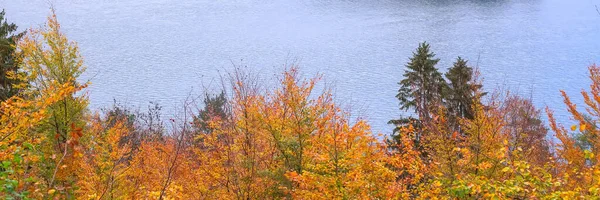 Lac et automne arbres colorés fond — Photo