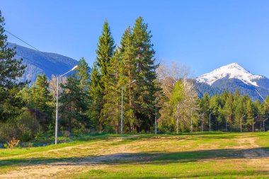 Orman ve kar dağları, Bansko, Bulgaristan