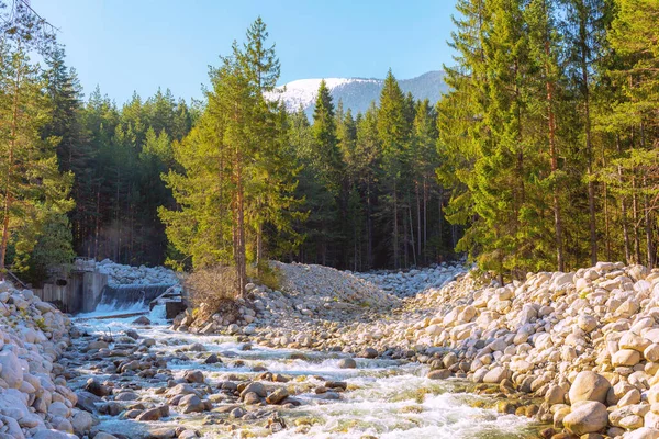 Wald und Fluss, Frühling, Bansko, Bulgarien — Stockfoto