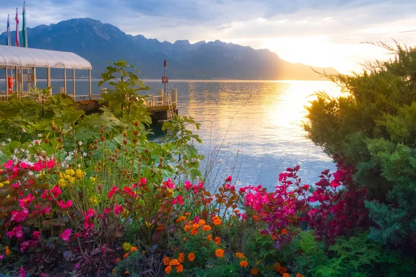 Fleurs et Lac Léman, Suisse — Photo