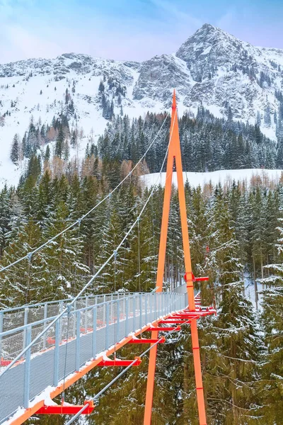 Golden Gate Metallbrücke Bei Saalbach Österreich Europa Schneeberge Und Waldpanorama — Stockfoto