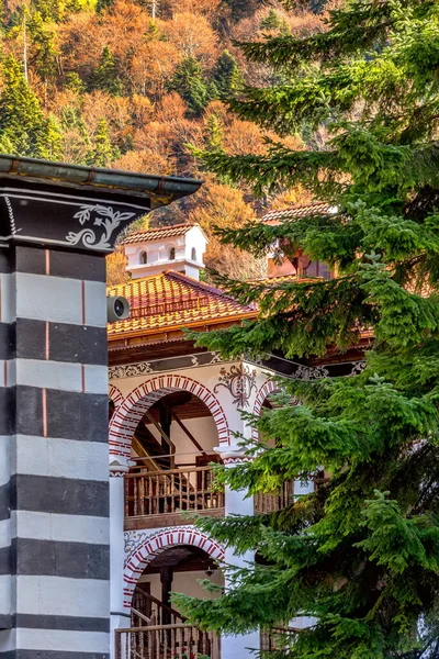 Rila Monasterio Exterior Detalles Primer Plano Árboles Montaña Otoño Fondo — Foto de Stock