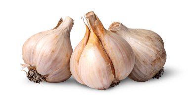 Sarımsak üç çiçek soğanı