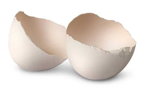 Two halves from crashed egg — Stock Photo, Image