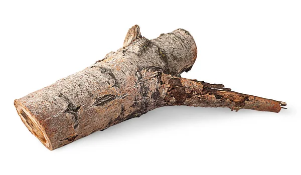 Single poplar log horizontally flipped — Stock Photo, Image