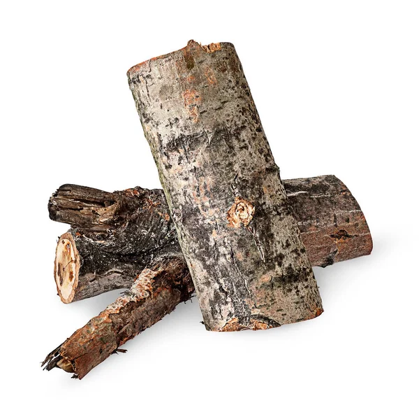 Two poplar logs — Stock Photo, Image