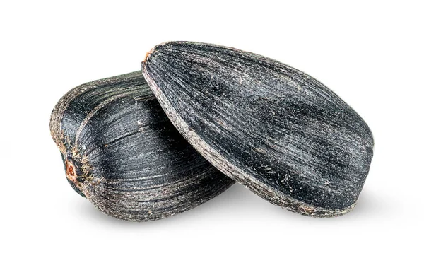 Dois pedaços de sementes de girassol um no outro — Fotografia de Stock
