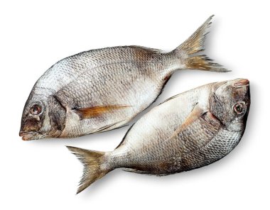 İki ham taze dorados