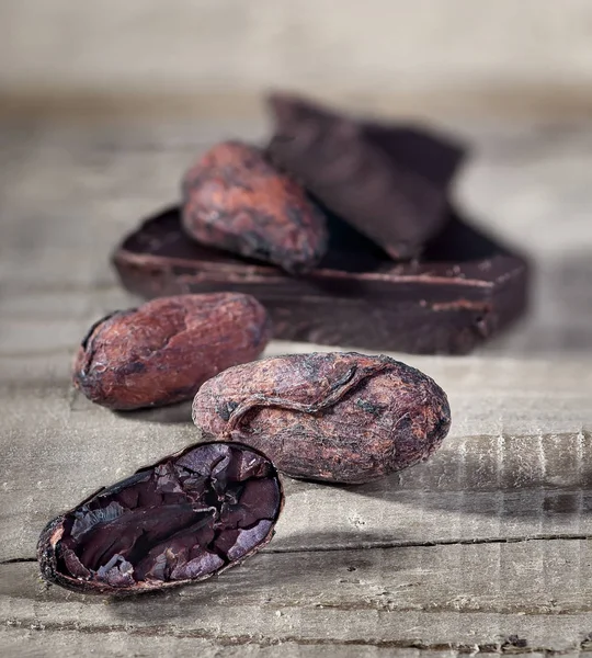Feijão de cacau e pedaço de chocolate escuro — Fotografia de Stock