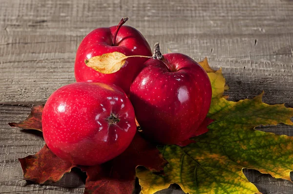 Red apples with maple leaves — Stock Photo, Image