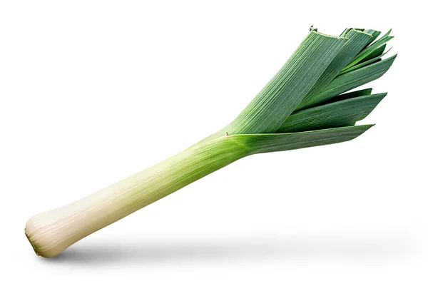 Leek — 스톡 사진