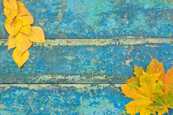 Herfst bladeren over houten achtergrond Rechtenvrije Stockfoto's