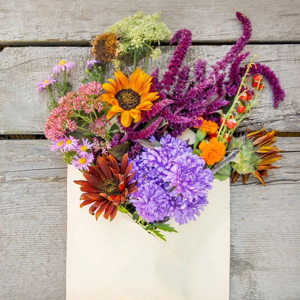 Höstens blommor i omsluta — Stockfoto