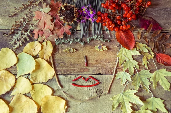 Retrato de otoño de mujer hecha de hojas caídas —  Fotos de Stock