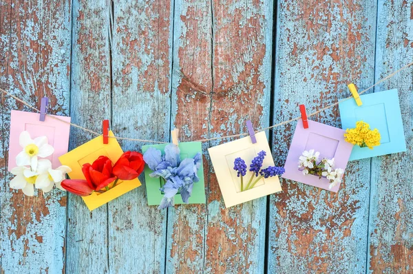 Fiori primaverili su sfondo di legno — Foto Stock