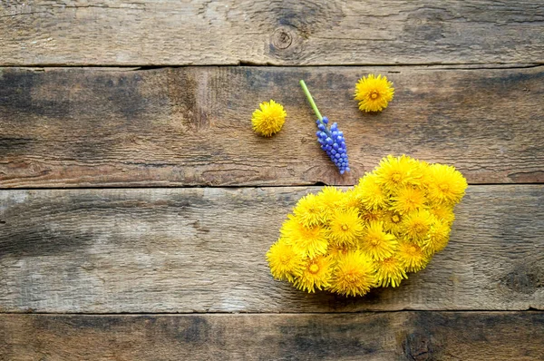 Cara floral divertida con concepto de diente de león —  Fotos de Stock