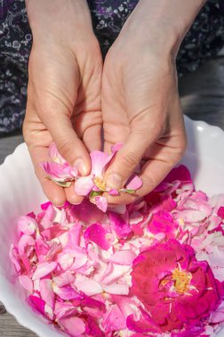 Eller kadının gül yaprakları ile