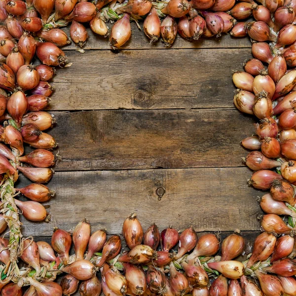 Rural background with onions — Stock Photo, Image