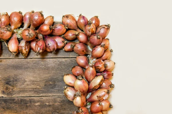 Rural background with onions — Stock Photo, Image
