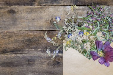 Kurutulmuş çiçekler çok güzel arka plan