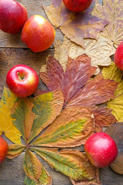 Herbst Hintergrund mit roten Äpfeln und abgefallenen Blättern — Stockfoto