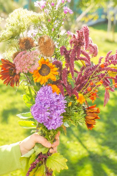 Mazzo di autunno nelle mani della donna in una giornata di sole — Foto Stock