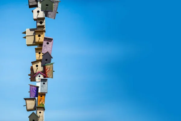 Veel nestkastjes op blauwe hemelachtergrond — Stockfoto