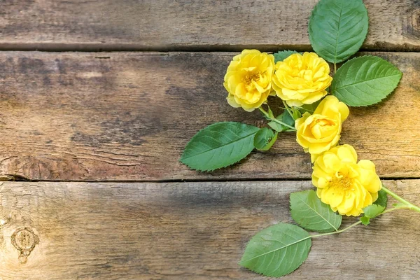 Yellow roses over wooden background — Stock Photo, Image