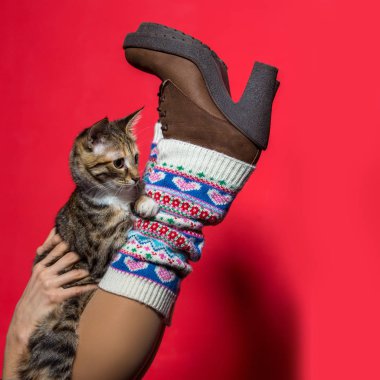 Komik kedi yavrusu ile kırmızı duvarın üzerinden havadaki kış Çizmeli seksi bacaklar