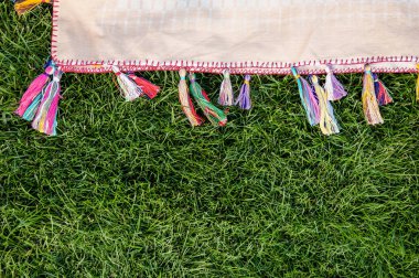 Çimenlerin üzerinde battaniye ile park yeşil güneşli bir günde