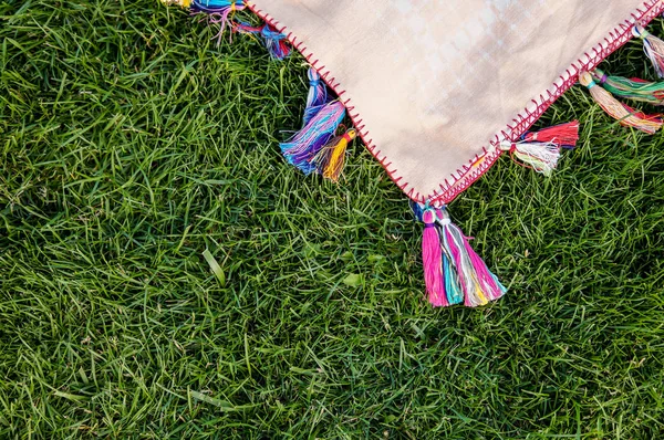 Green sunny day in park with blanket on grass