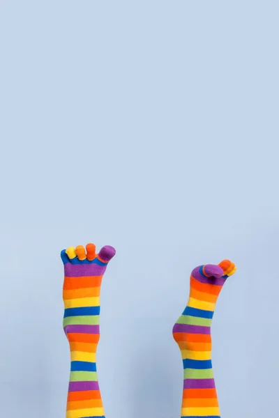 Legs in funny socks on blue background