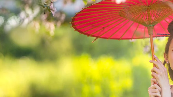 Японская Женщина Кимоно Зонтиком Солнечный Весенний Цветущий Сад Копировальное Пространство — стоковое фото