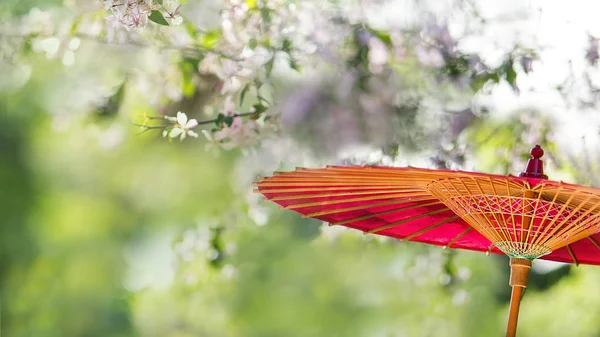 夏の傘を手に庭を咲かせ — ストック写真