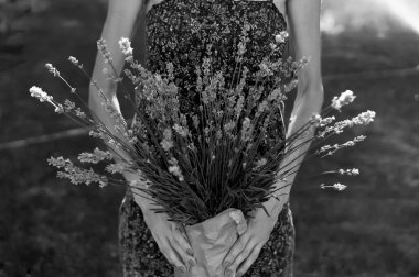  Elinde lavanta çiçekleri olan güzel bir kadın.