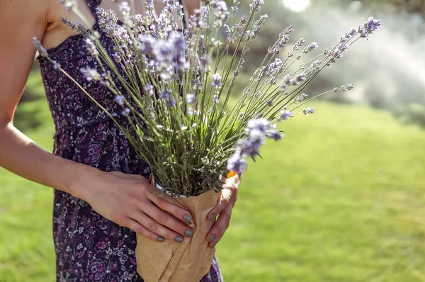 Vacker Kvinna Med Lavendel Blommor Handen Över Grön Naturlig Bakgrund — Stockfoto