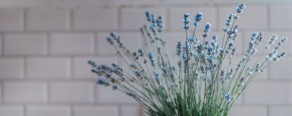 Çerideki Vazoda Mor Lavanta Çiçeği — Stok fotoğraf