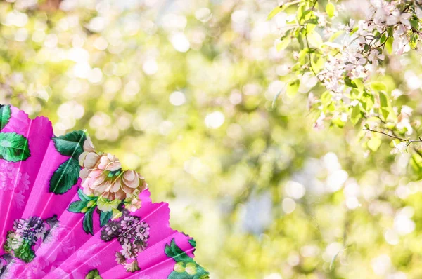 Hermosa Flor Cerezo Rosa Floreciendo Famoso Parque Japón Durante Primavera —  Fotos de Stock