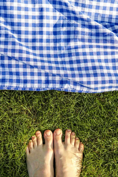 Voeten Gras Met Blauw Ontbijt Deken Bovenaanzicht — Stockfoto