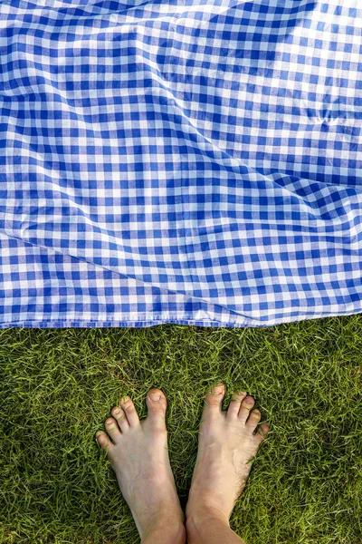 Füße Gras Mit Blauer Frühstücksdecke Von Oben — Stockfoto