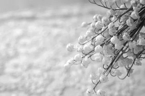 Черно Белое Винтажное Свадебное Изображение Кружевом Нежными Цветами — стоковое фото
