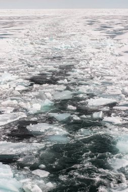 Uyku modundan çıkarma Arctic buz