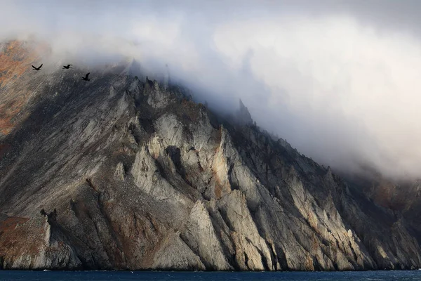 Spiaggia rocciosa nella nebbia — Foto Stock