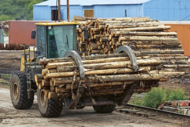 Yükleme kereste kaldırma kamyonlar
