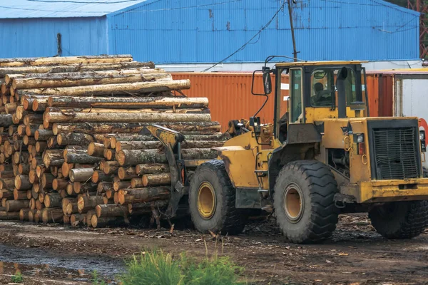 Tractor is transporting a stack of logs — Stock Photo, Image