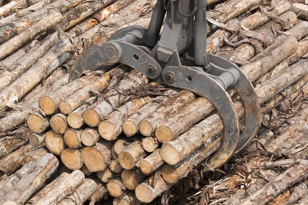 estufa de leña casero — Fotos de Stock © pwrmc #23887361